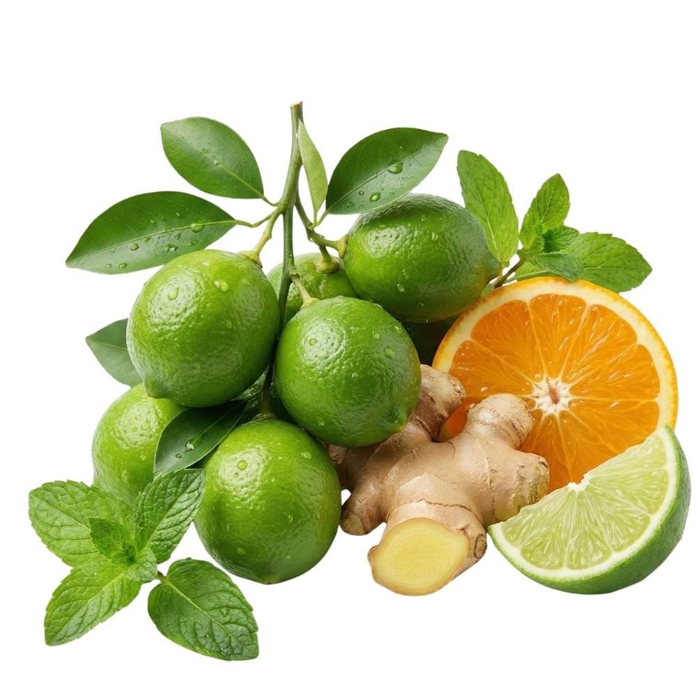 Top Note Lemon Ginger Mint