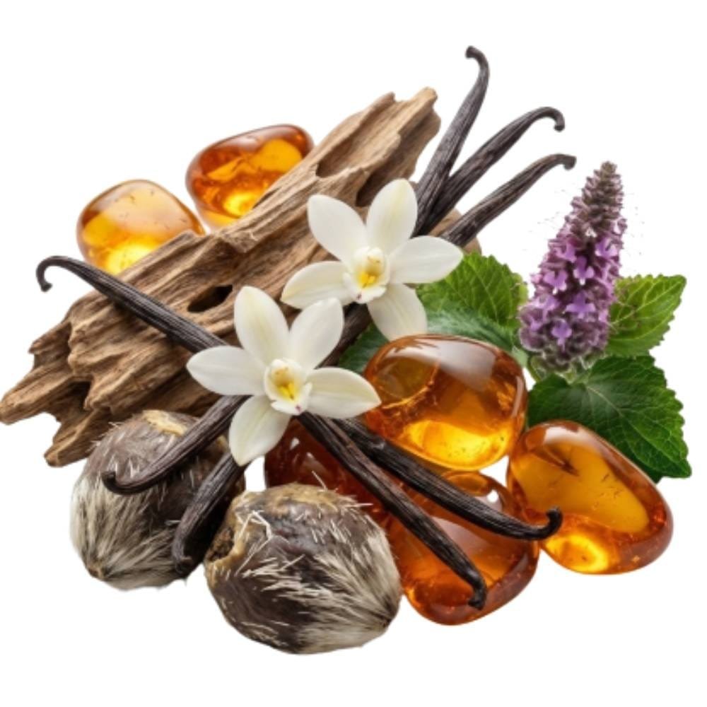 Amber • Vanilla Bean • Amber wood • Musk • Patchouli
